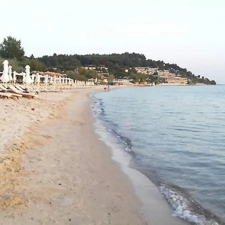 Forest Sani